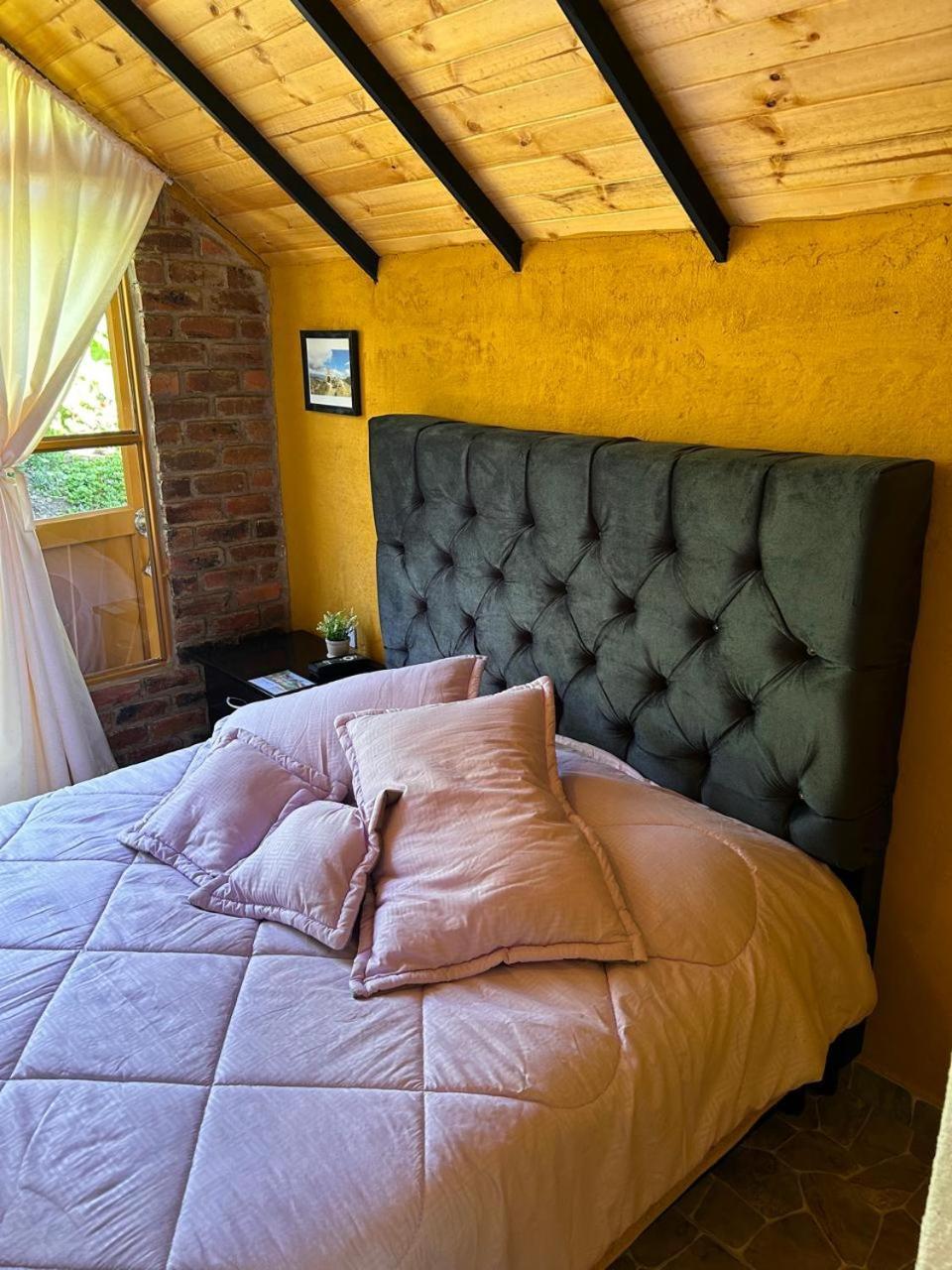- Rosita Apartamento