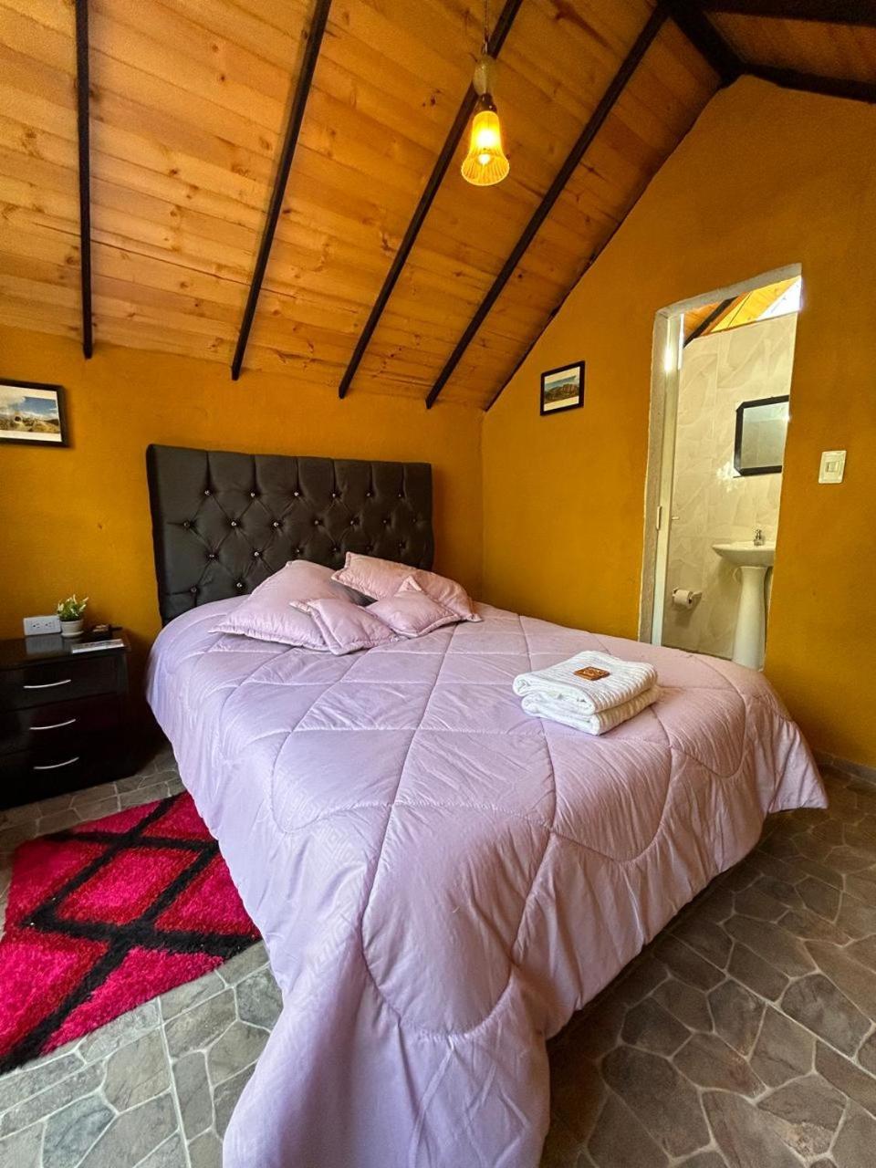 Apartment - Rosita Mongui