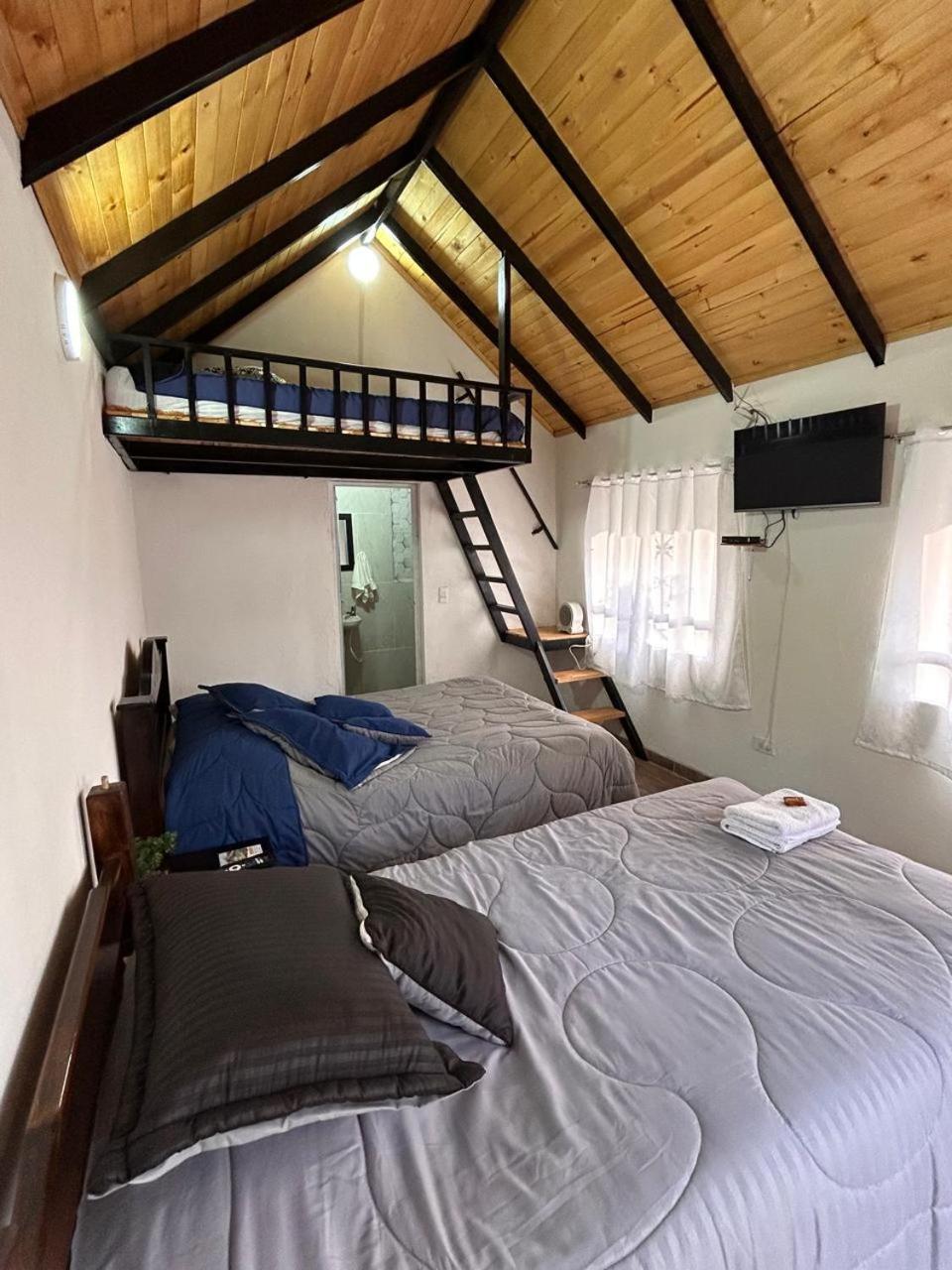 - Rosita Apartment